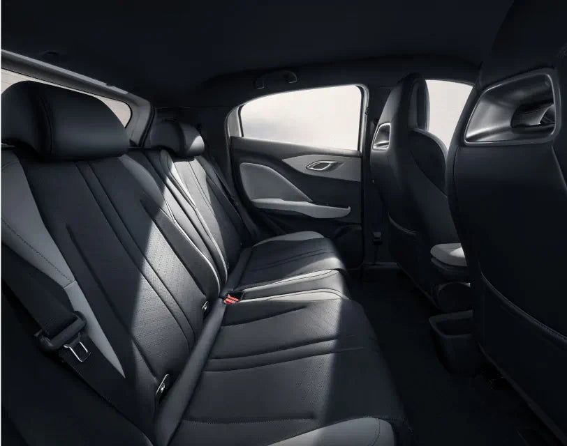 BYD Dolphin Surf  2025 Intelligent Driving Comfort Edition