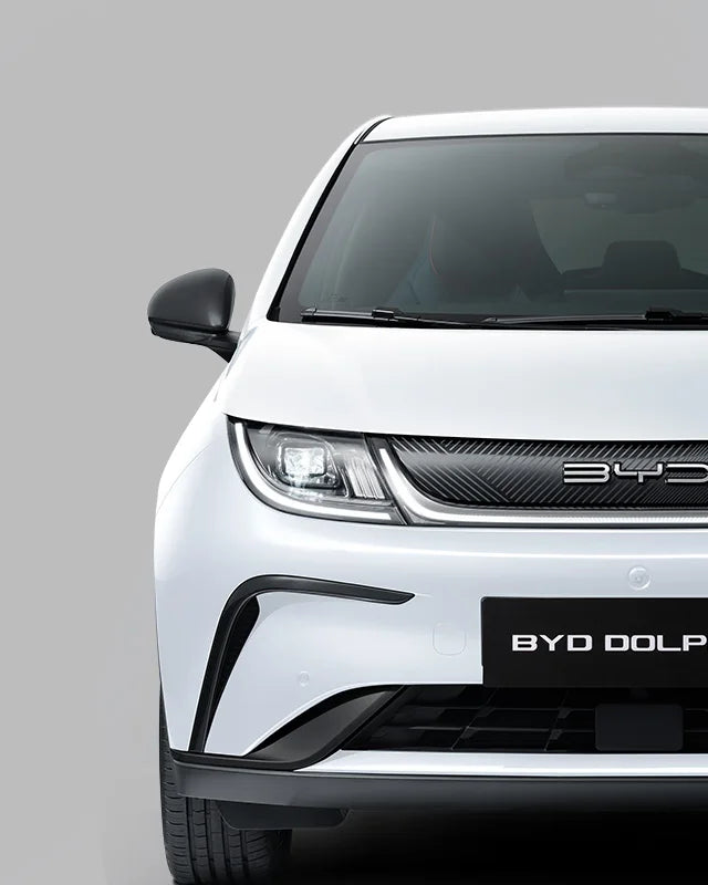 BYD Dolphin (EA1)  Intelligent Driving  Knight Edition