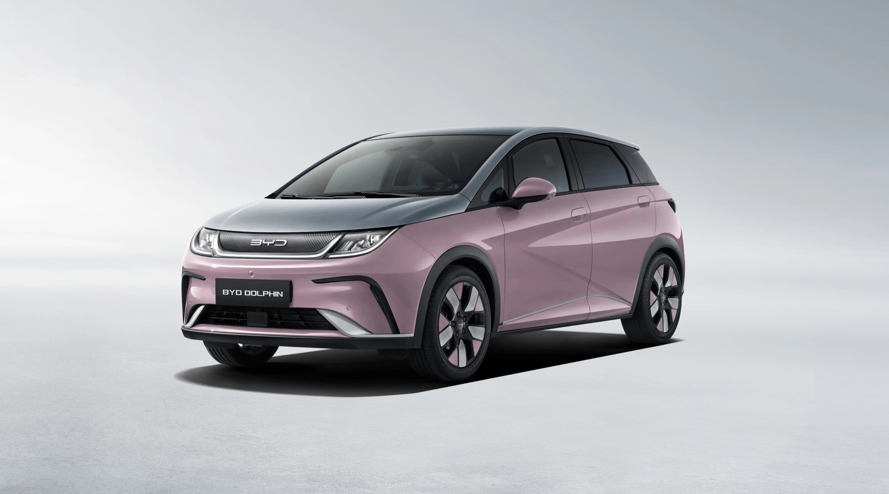 BYD Dolphin (EA1)  Intelligent Driving  Knight Edition