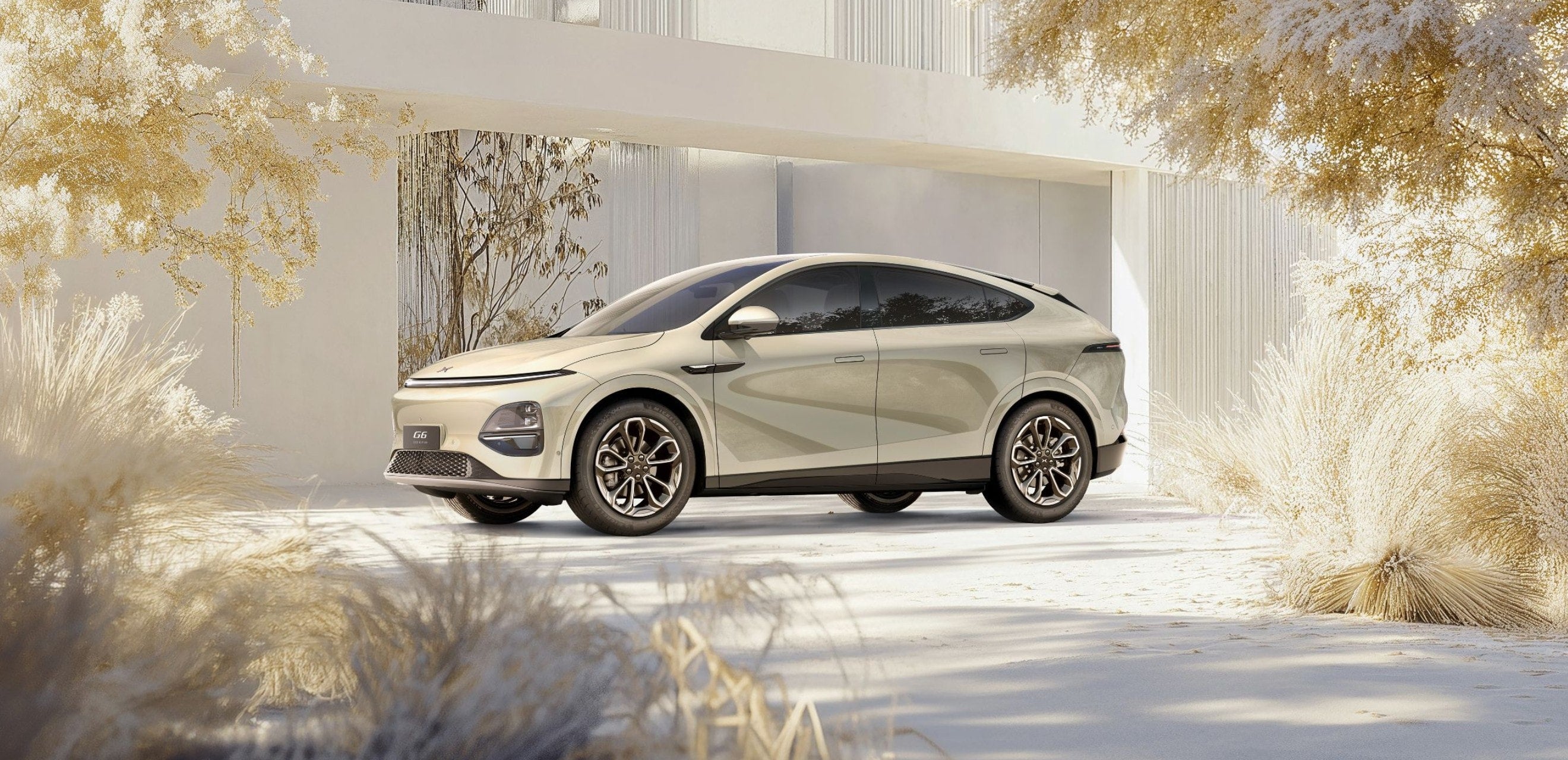 G6  Extreme Long Range Max Flagship Edition